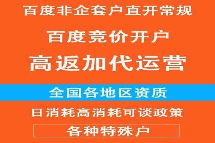 百度SEO推广策略全解析：某企业从零到一的成长历程